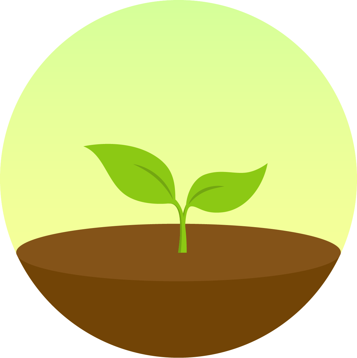 Forest App Icon
